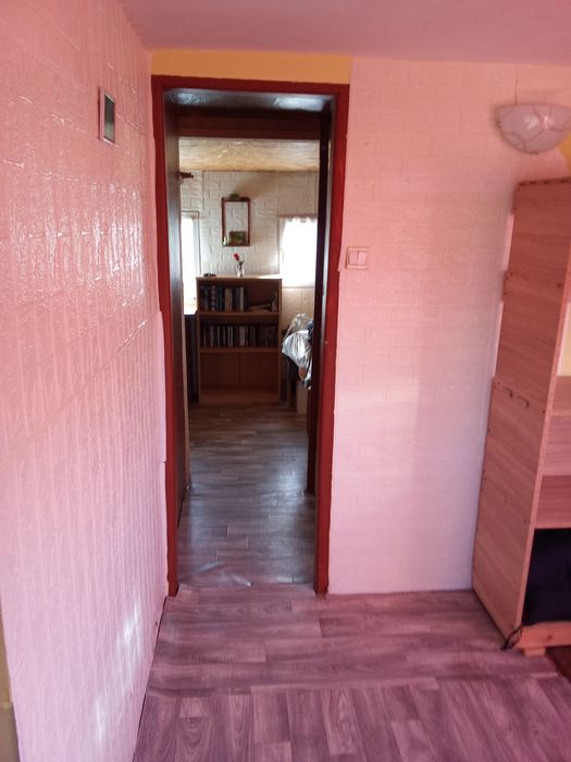 Sprzedam -działka ROD M. Reja w Gdyni