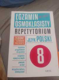 Repetytorium klasa 8 język polski