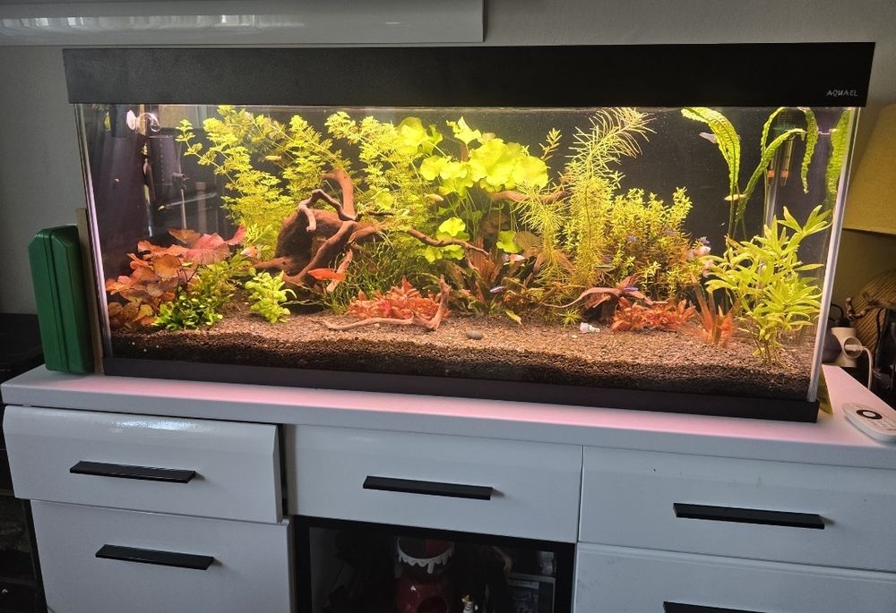 Aquael OPTYWHITE 260 L full zestaw Opis