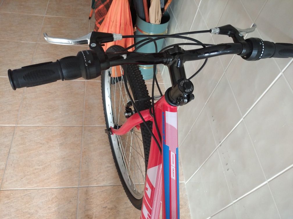 Bicicleta vermelha nova