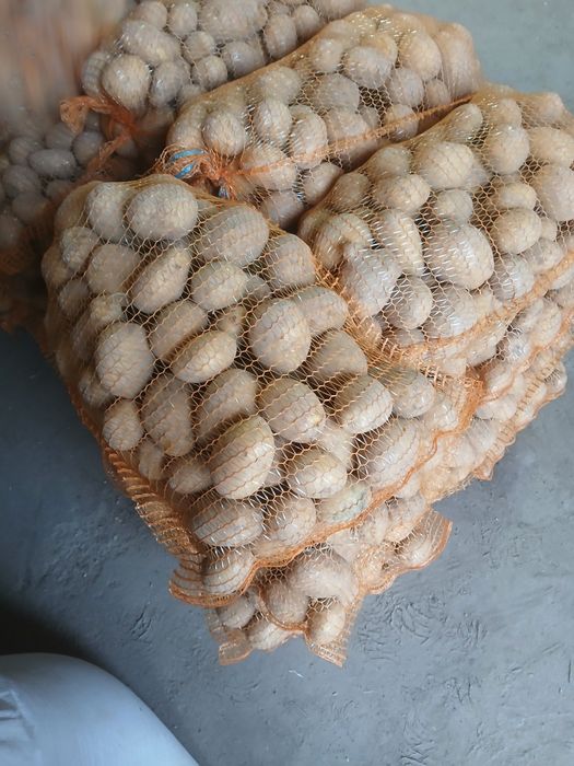 Sprzedam ziemniaki vineta tajfun melody soraya