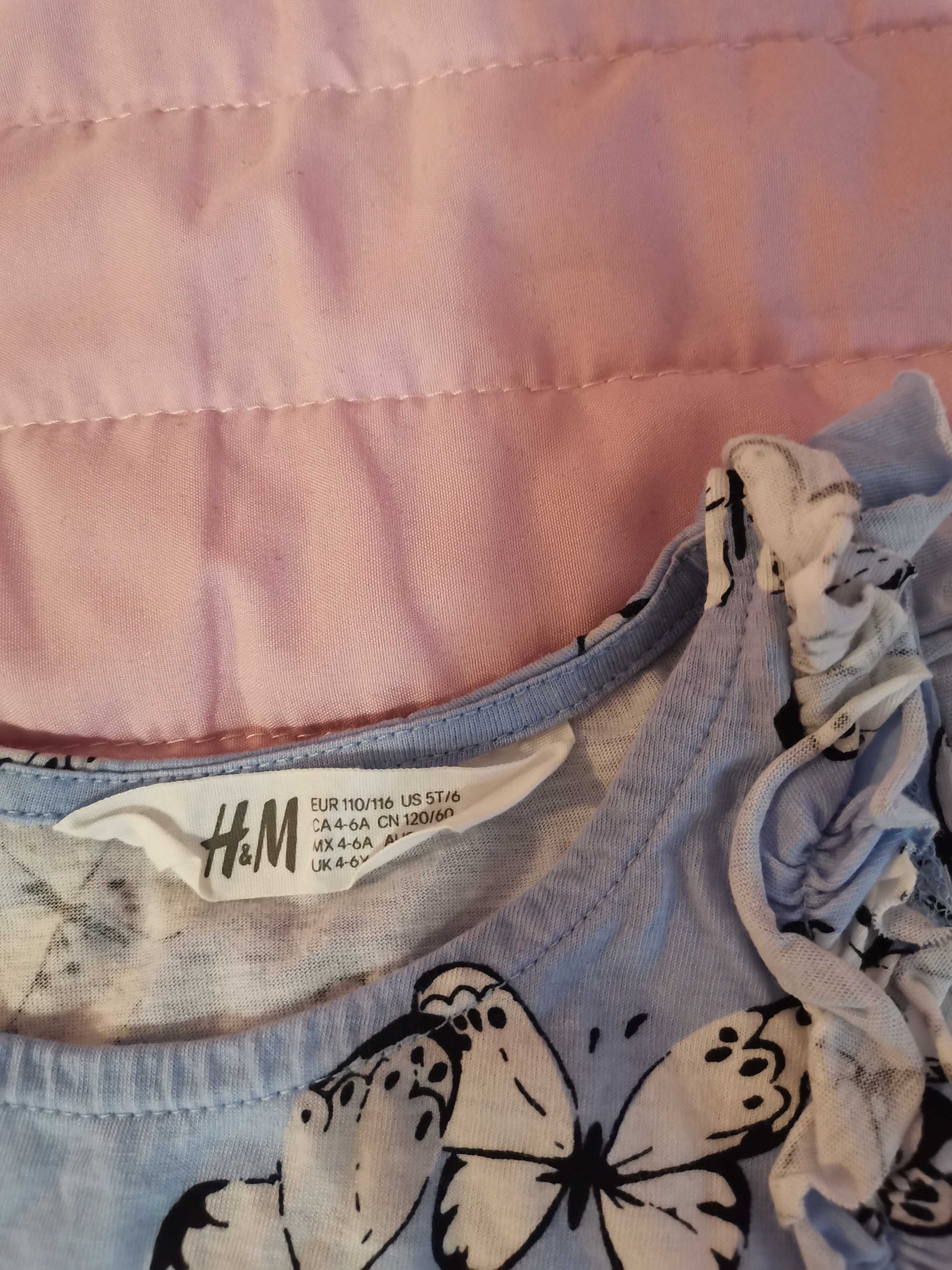 Bluzeczka w motylki firmy H&M roz 110/116 cm