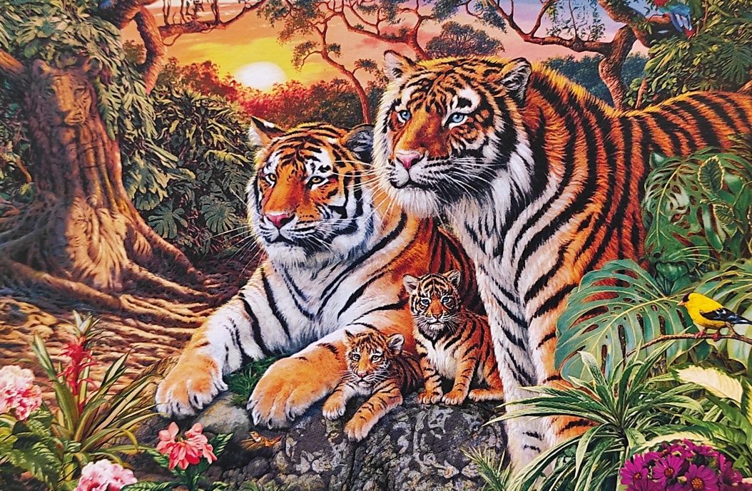 Puzzle, tygrysy, zwierzęta, 180 i 300 elementów, Castorland i Trefl