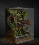 Terrarium tropikalne 40x40x60 gekon orzęsiony jaszczurka