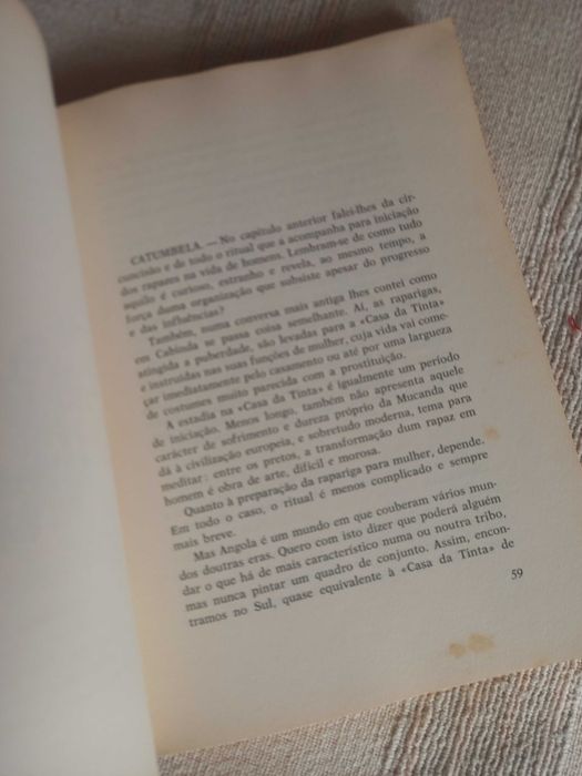 Livro de João Falcato Raízes de Angola