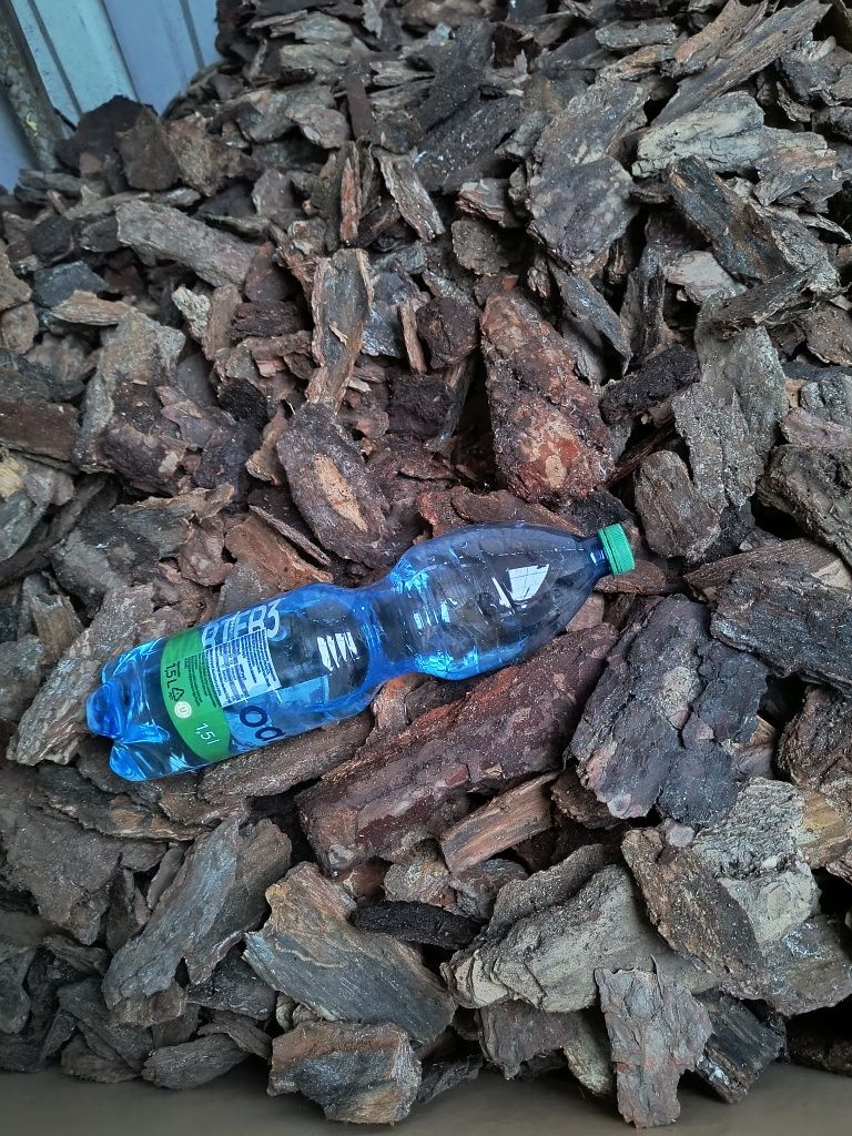 Kora sosnowa gruba