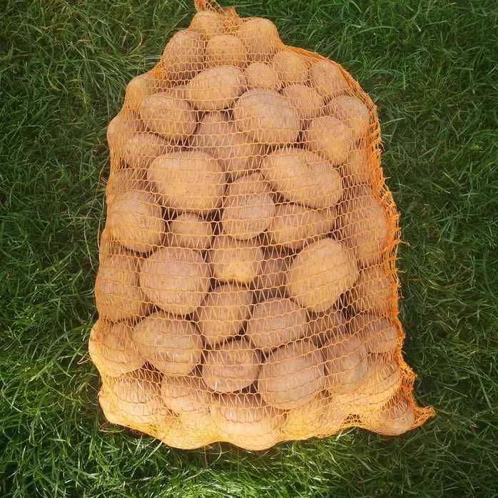 Sprzedam Ziemniaki Wineta