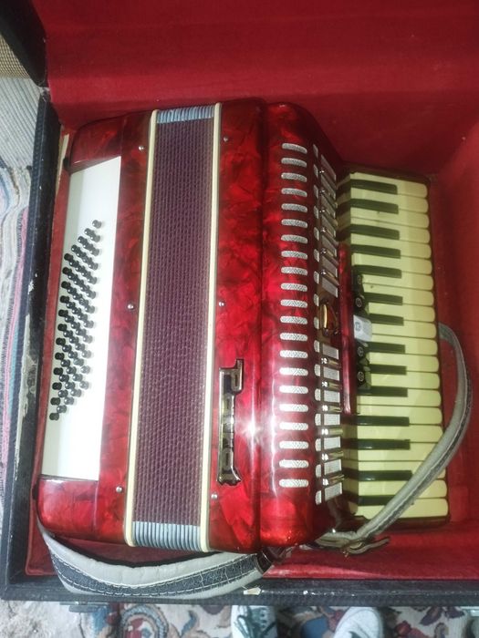 Acordeao parrot com caixa