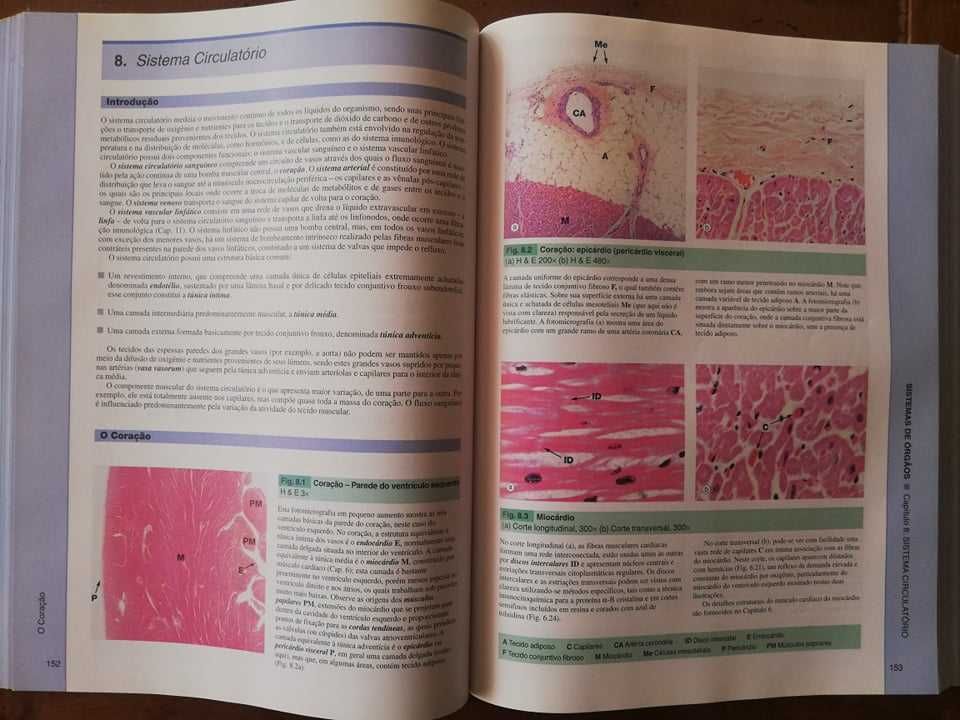 Livro "WHEATER - Histologia Funcional" - 5ª Edição - PORTUGUÊS