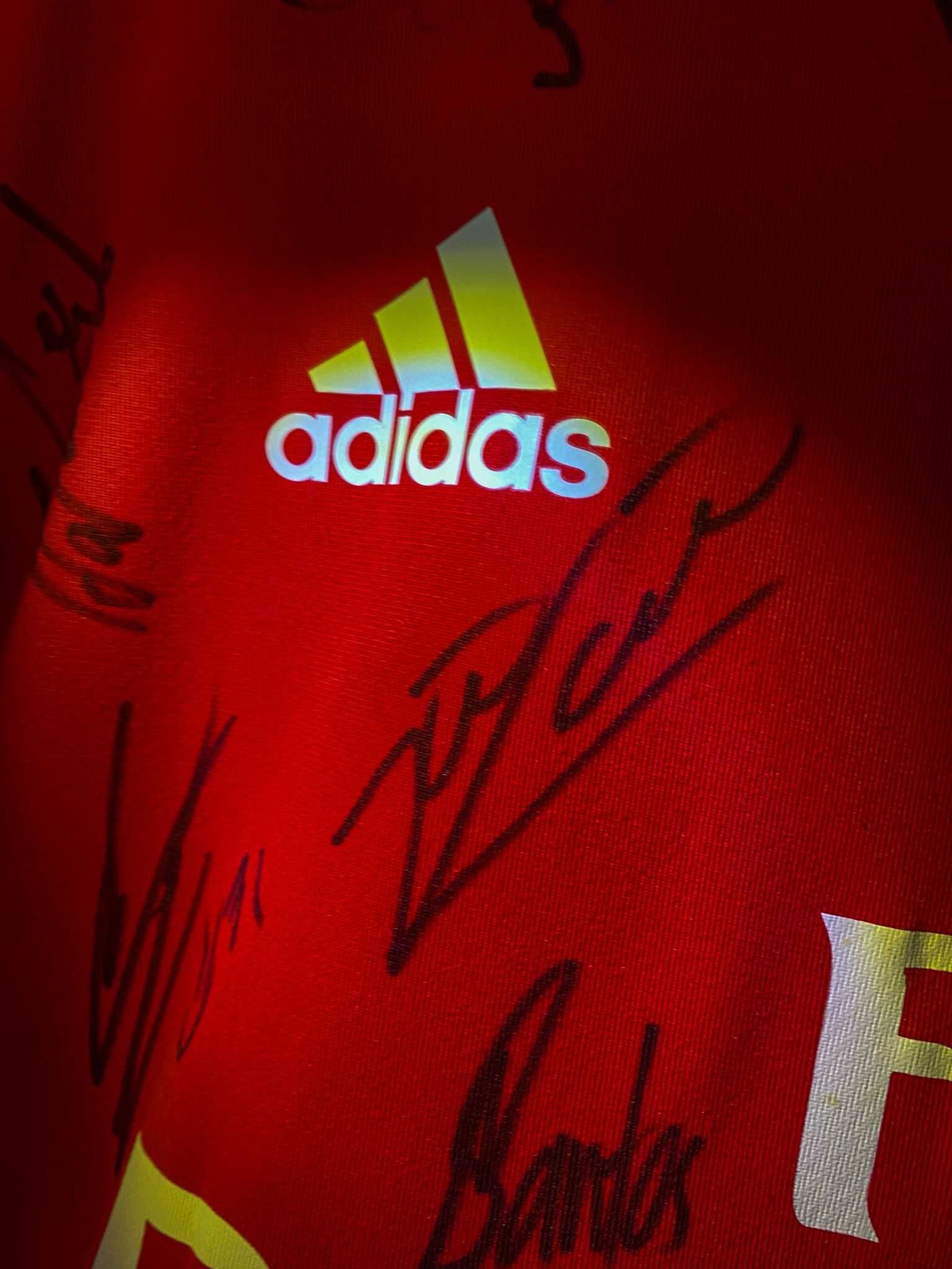 Camisola Oficial Benfica 2015/2016 Autografada (Jogador Pipo)