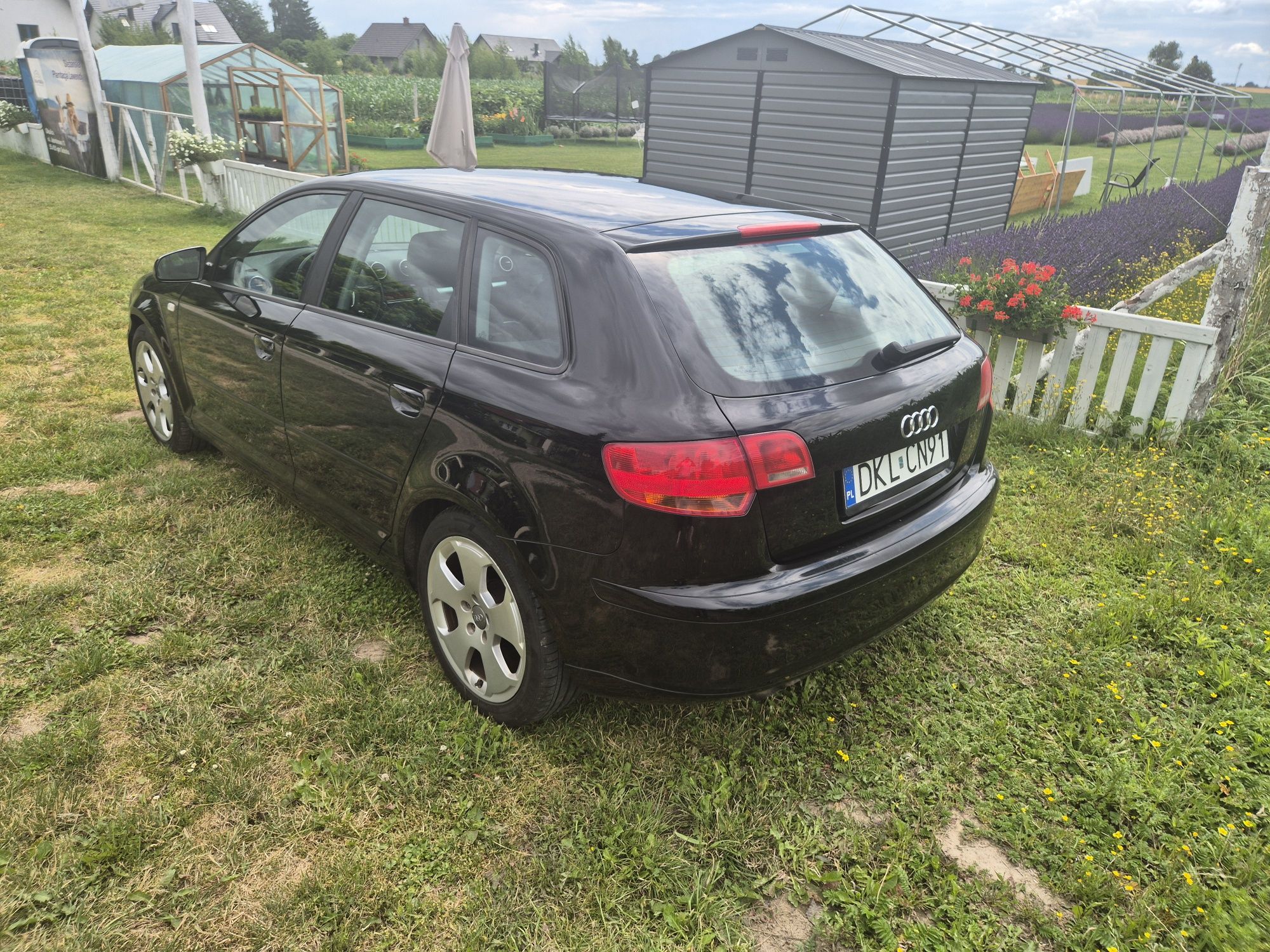 Audi A3 8P Sportback 2.0 TDi 8V 207 000 km oryginalny lakier