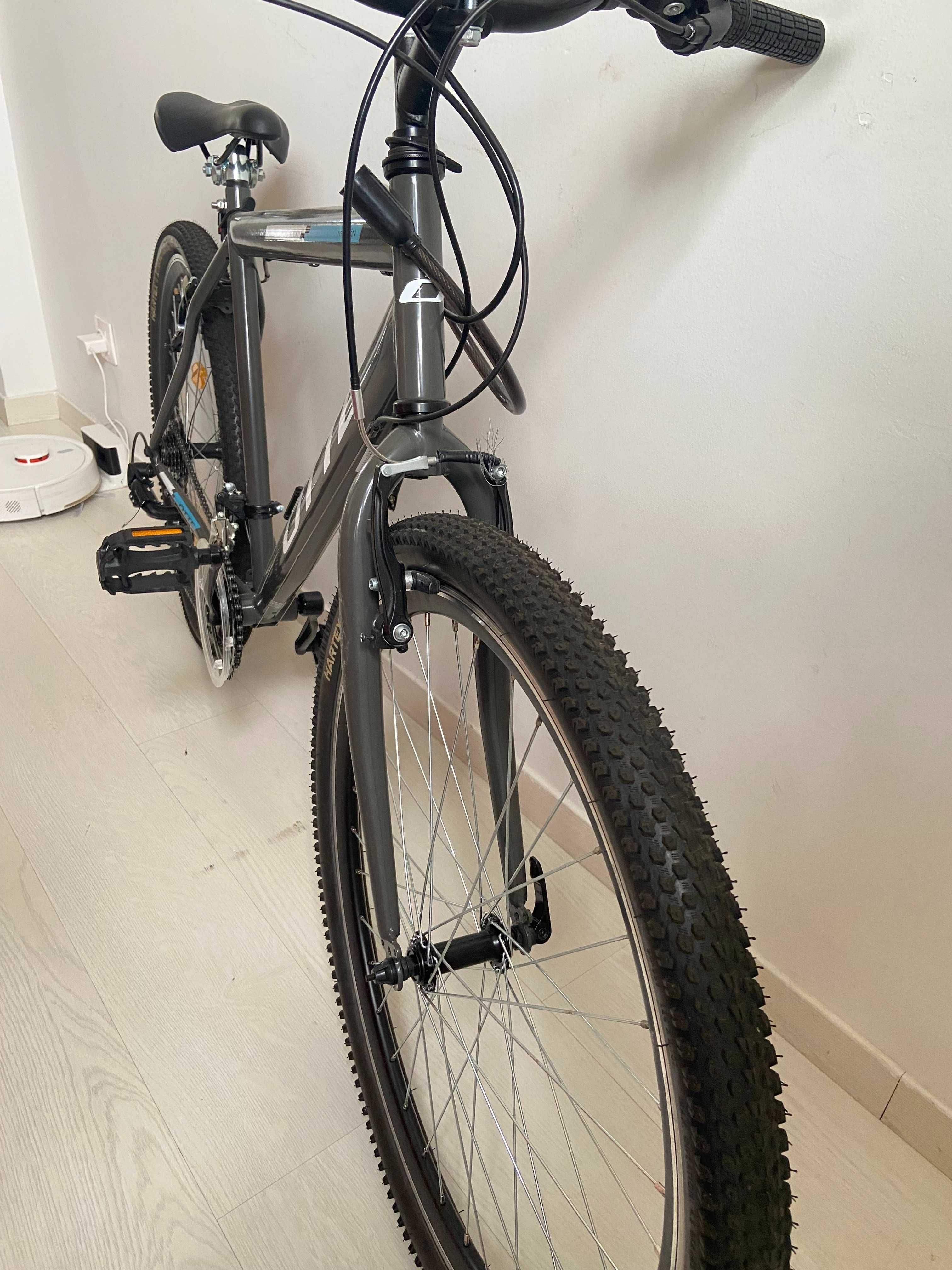 Bicicleta OTTE Junior - Adulto Asteron 26'