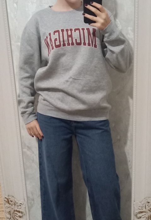 Сірій світшот PLT