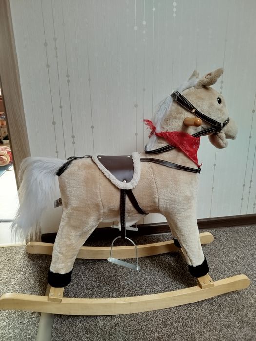 Konik na biegunach