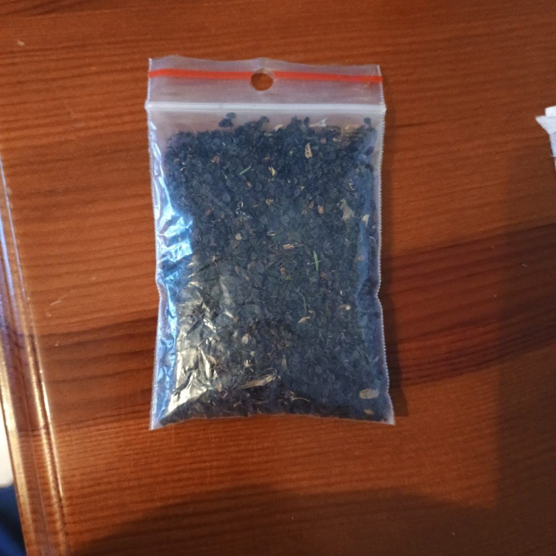 Nasiona 10 g goździk bridaty