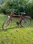 rower azzax excelsior czerwony, 15 shimano, carboferric 38 / 42