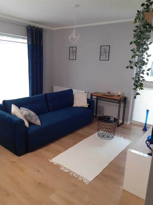 Wynajmę przytulne 2 pokojowe mieszkanie 55 m2 ul. Zientary Malewskiej