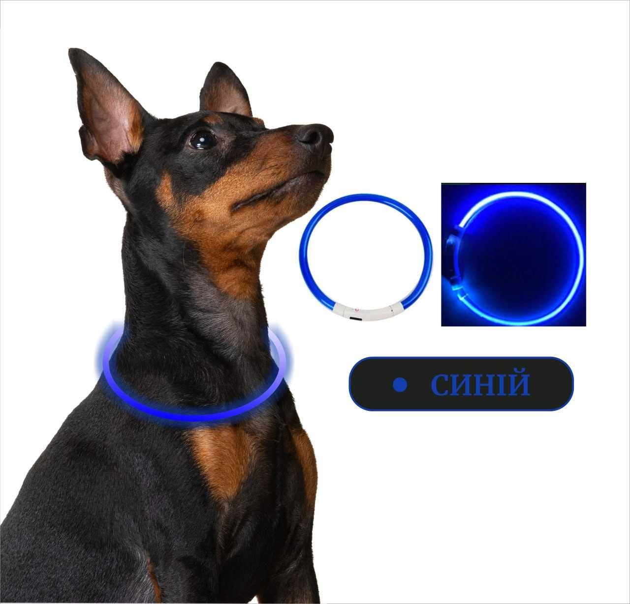 Нашийник для собак LED з USB заряджання | Регульована довжина