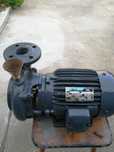 Motor trifásico de furo