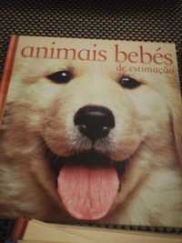 Colecção de livros "Animais bebés"