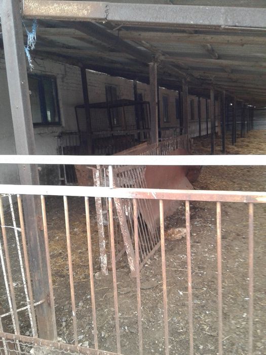 Продам отдельностоящую животноводческую ферму в Криворожском районе