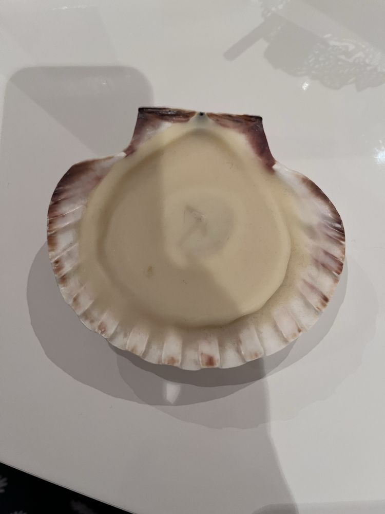 Concha vela com oferta de castiçal