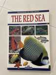 Livro sobre peixes - Wonders of the deep: The red sea