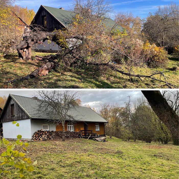 Wycinka i sprzątanie działek, usługi ogrodnicze,koszenie trawy