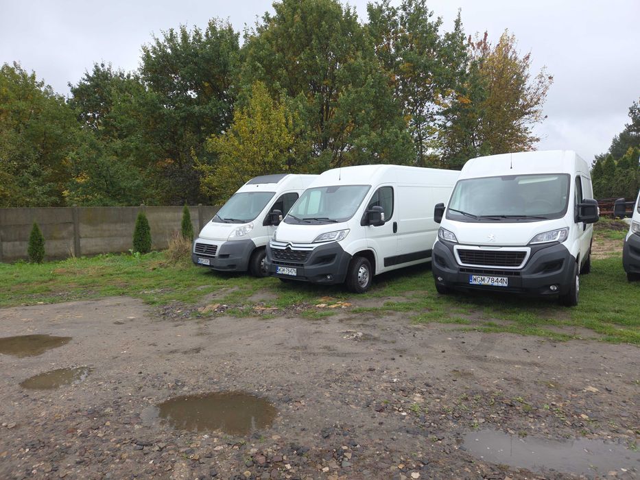 Wynajem bus dostawcze