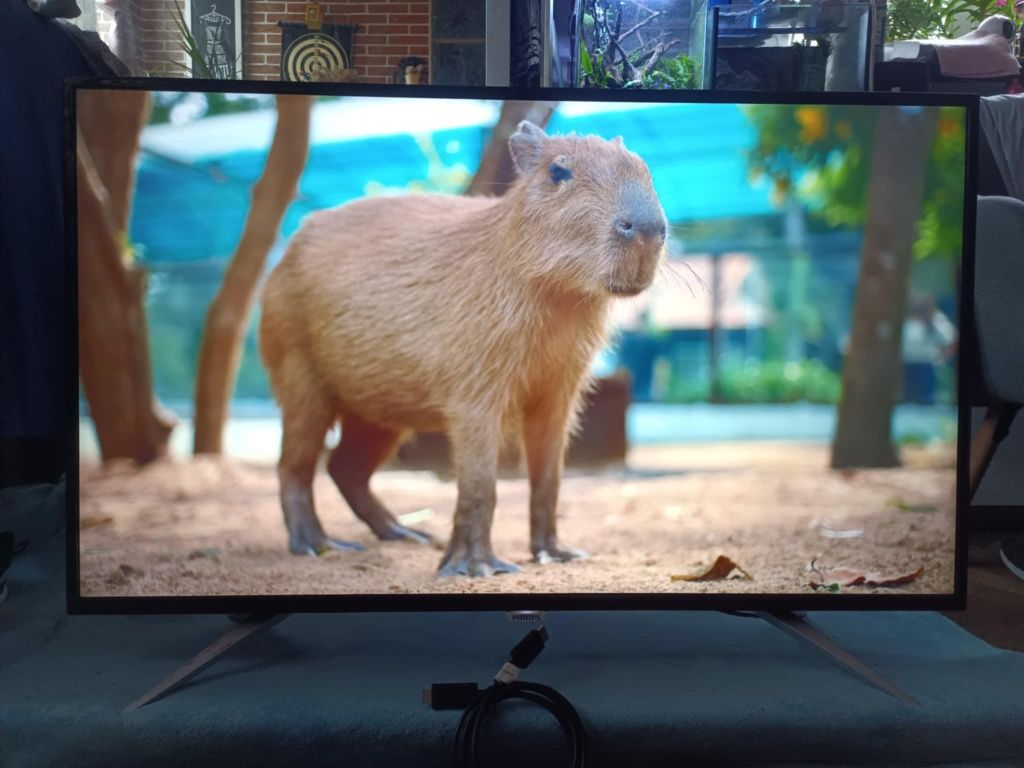 Monitor Philips 43" 4K UHD led IPS