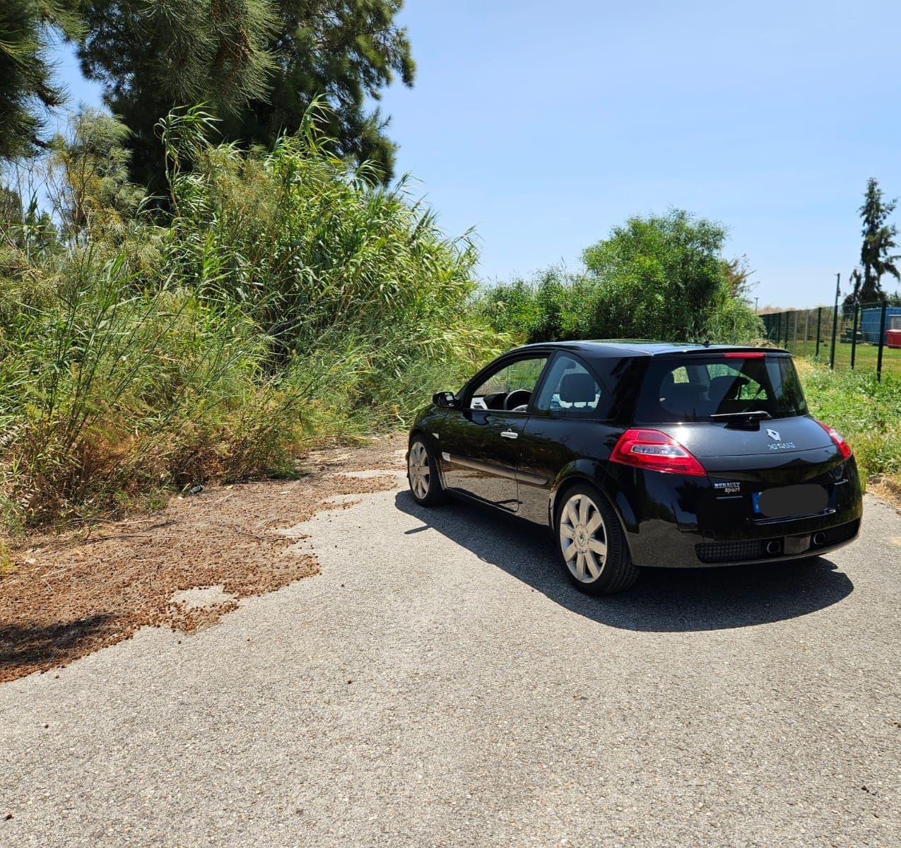Renault Megane RS - 2.0 Turbo / 260 Cvs