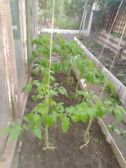 Продам дачный участок с двухэтажным домом