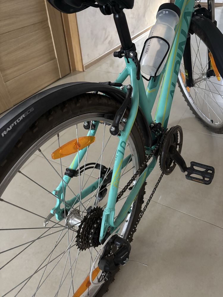 Rower Kellys Alpina ECO LM 26"