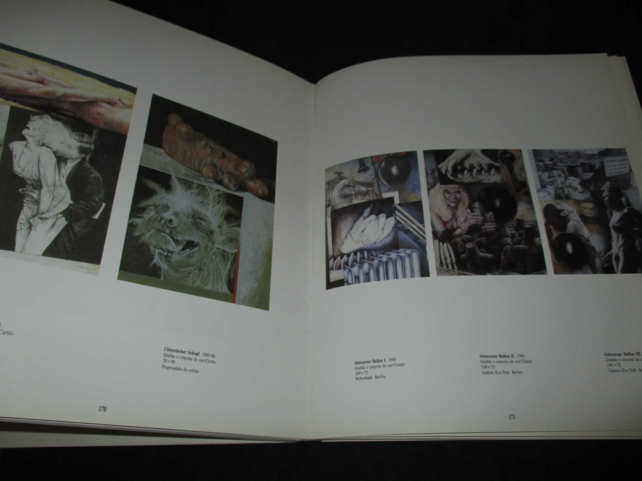 Livro Arte em Berlim 1900 até hoje Gulbenkian 1989