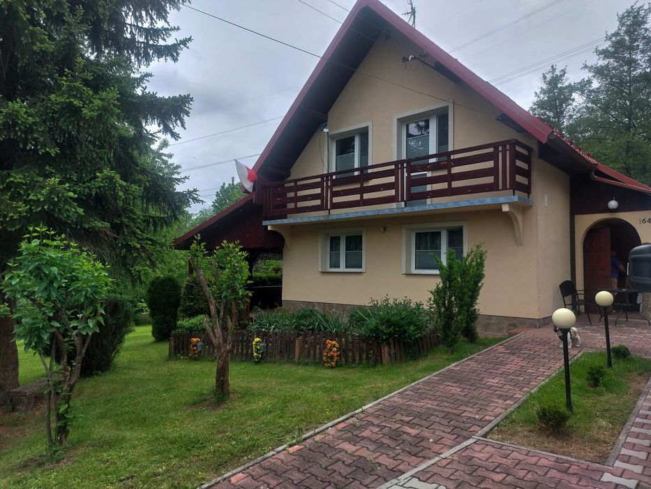 Domek do wynajęcia - Zygmuntówka w lesie!