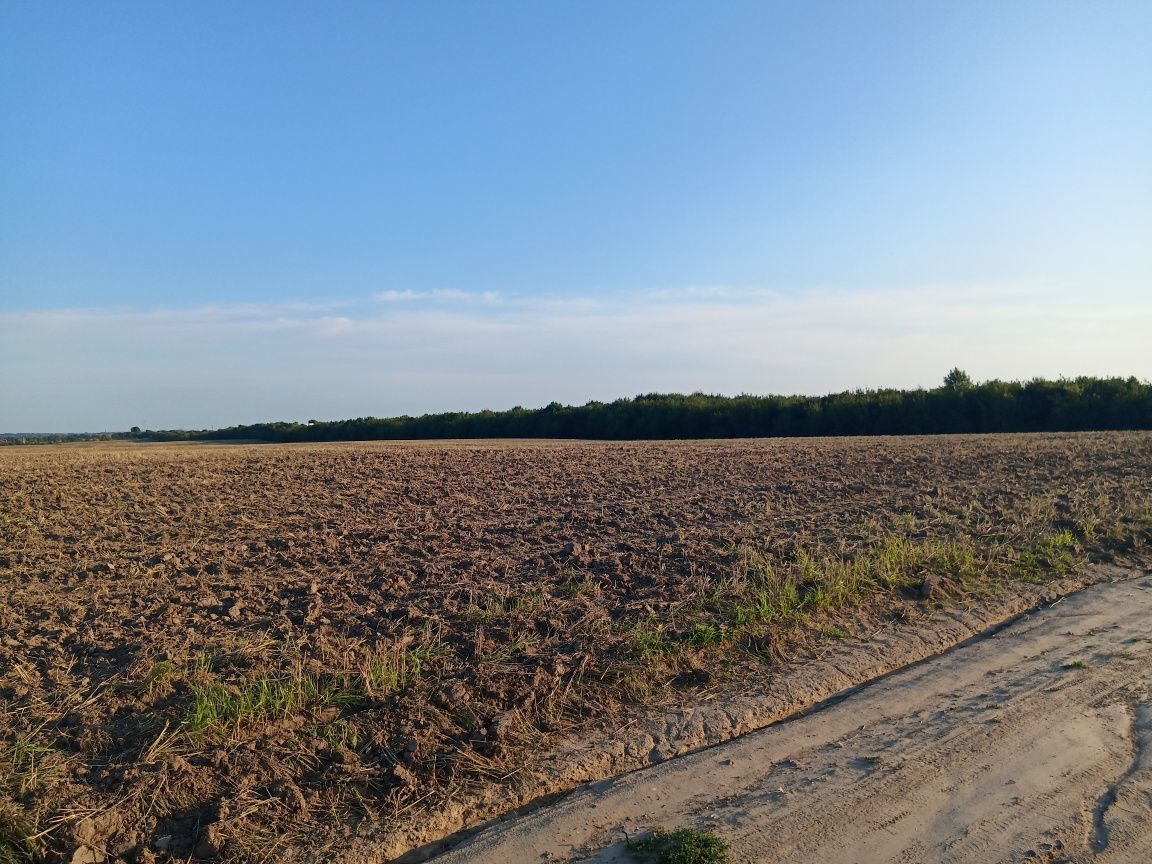 Продам землю біля траси