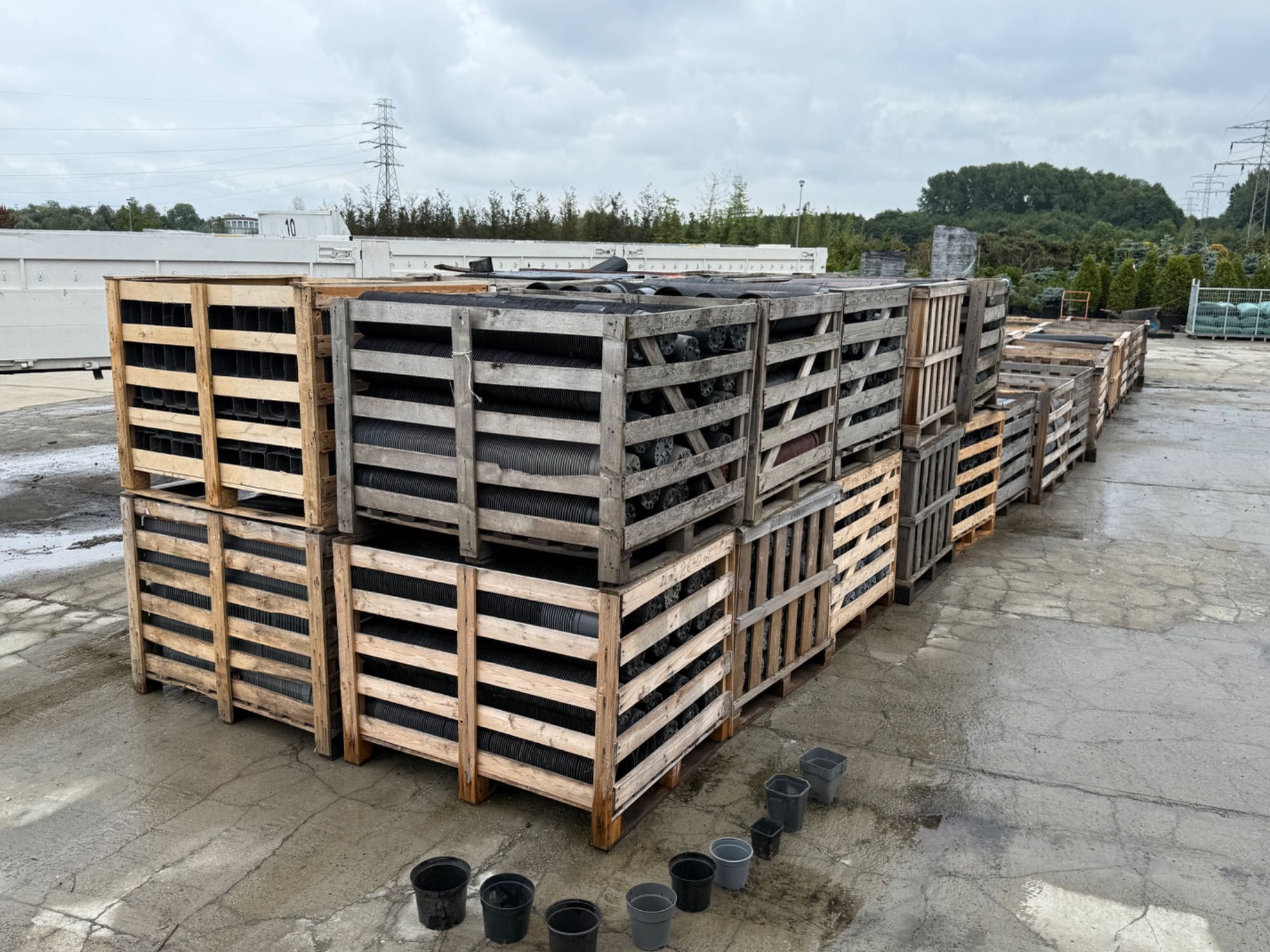 Doniczki produkcyjne p9 / p11 / c1 / c1,5 / c2 / c2,5 / duże ilości