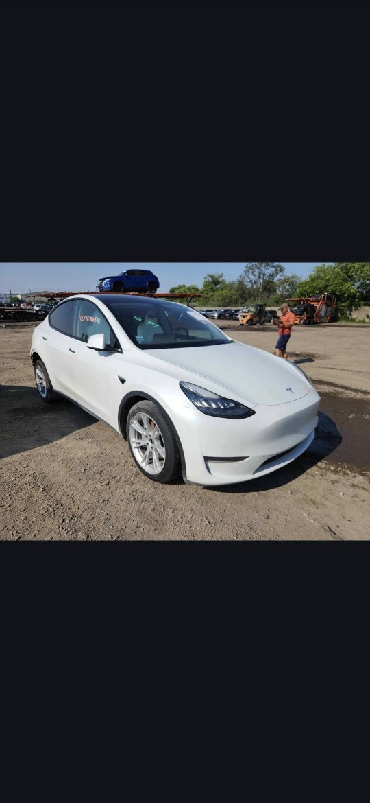 Tesla Model Y dual motor