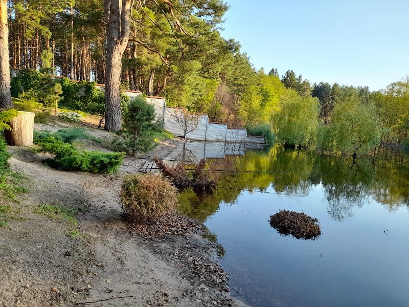 ВИГІДНО! Елітний маєток серед соснового лісу та з виходом на воду