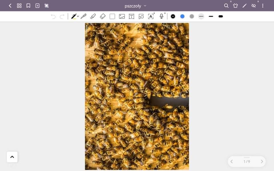notatki- pszczoły technik weterynarii, pszczelarz