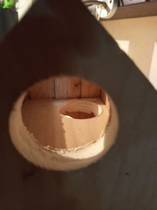 Budka lęgowa dla wiewiórki, dudka.