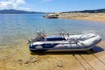 Barco  Honda 3.20m + Motor Honda 6cv 4t Com documentos e livrete