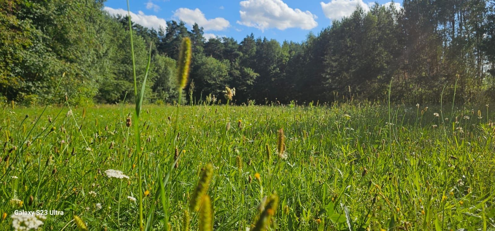 Działka budowlana, 25 arów na wsi, blisko lasu cisza i spokój
