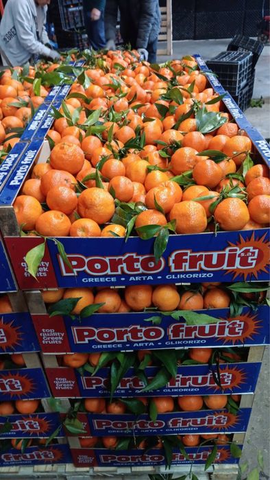 Оптовий продаж мандарин з Греції