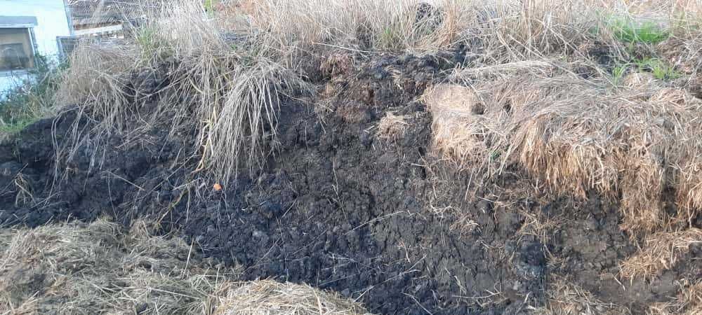 Obornik Pruchnica Koński