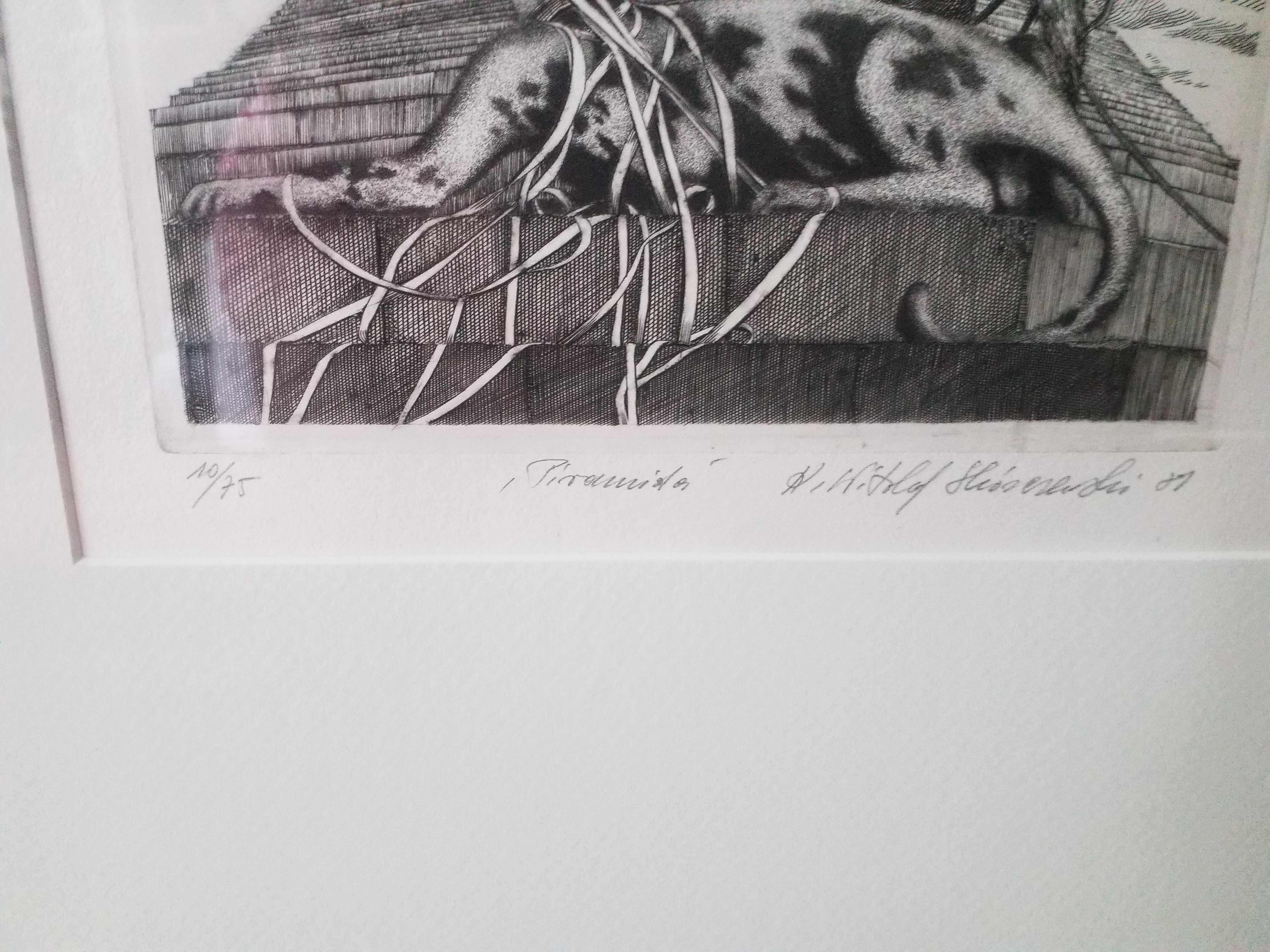 Oryginalna grafika / obraz Witold Skórczewski