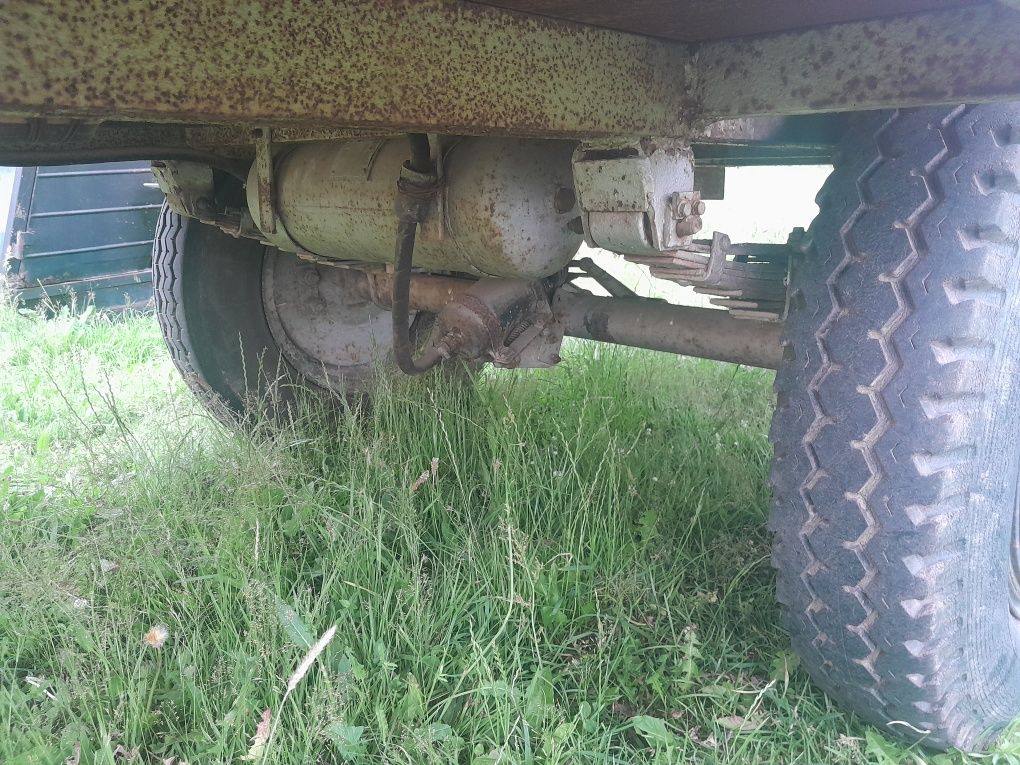 Likwidacjia 5.5.9.0 z gruby materiał polecam