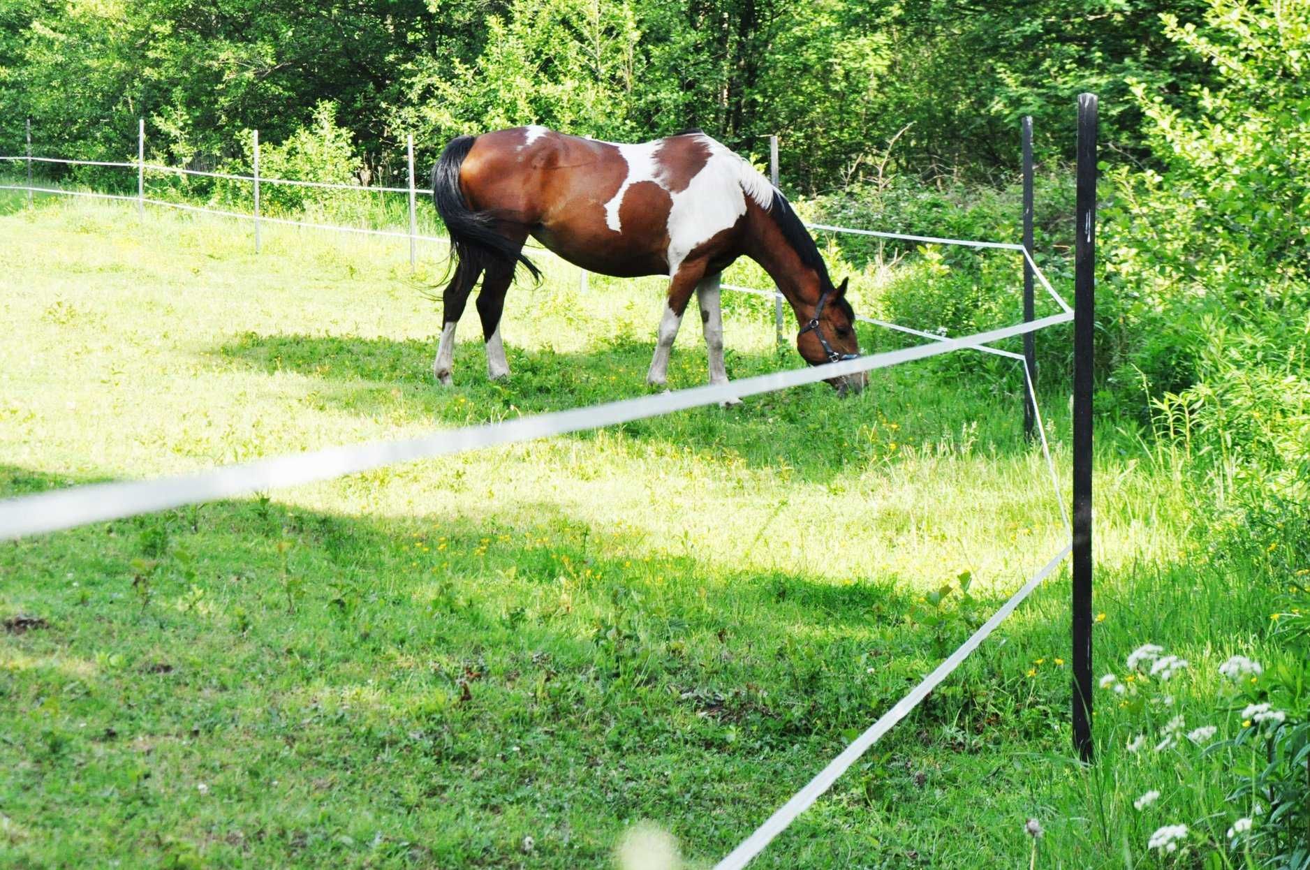 mocne i trwałe Słupki do ogrodzeń, do pastucha, kantówki