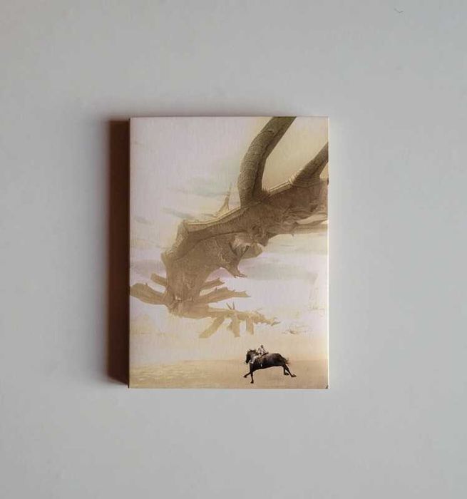 Shadow of the Colossus PS2 pal pt [ótimo estado]