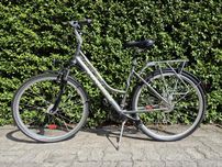 Rower Kross Trans Siberian Damski L